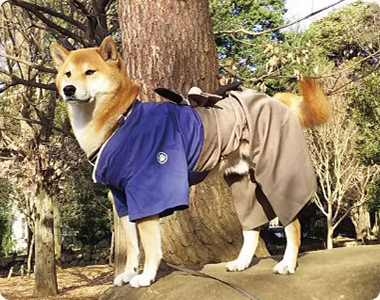 仁ちゃん