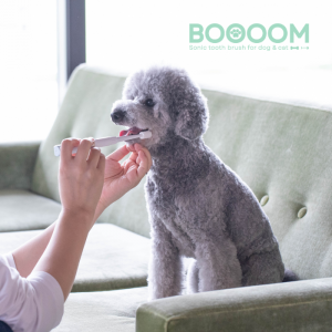 犬猫専用歯ブラシ BOOOOMプロ ブルー・本体 犬猫専用歯ブラシ BOOOOMプロ ブルー・本体
