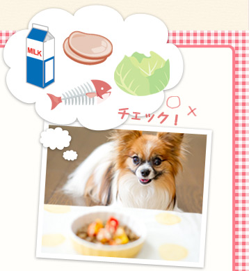 わんちゃんなら比較的”アレルギーのでにくいもの”として知られている「ラム」「鹿肉」「魚」「野菜」などのフードもあります。
