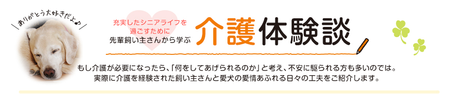 介護体験談