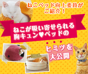 犬・猫の総合情報サイト『PEPPY(ペピイ)』