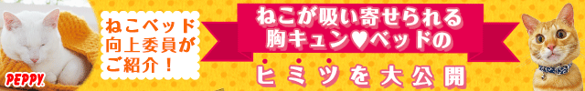 犬・猫の総合情報サイト『PEPPY(ペピイ)』
