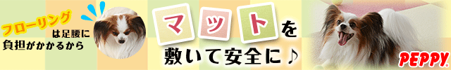 犬・猫の総合情報サイト『PEPPY(ペピイ)』