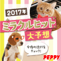 犬・猫の総合情報サイト『PEPPY(ペピイ)』