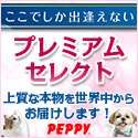 ¸¤¡¦Ç¤ÎÁí¹ç¾ðÊó¥µ¥¤¥È¡ØPEPPY¡Ê¥Ú¥Ô¥¤¡Ë¡Ù