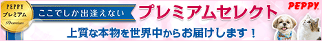 犬・猫の総合情報サイト『PEPPY（ペピイ）』