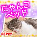 犬・猫の総合情報サイト『PEPPY(ペピイ)』