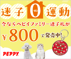 犬・猫の総合情報サイト『PEPPY(ペピイ)』