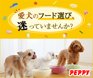 犬・猫の総合情報サイト『PEPPY(ペピイ)』