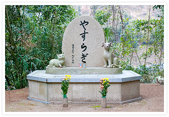 動物愛護センター