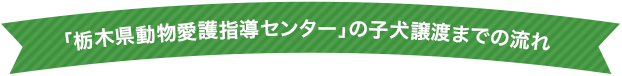 譲渡までの流れ
