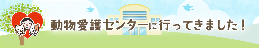 動物愛護センターに行ってきました!
