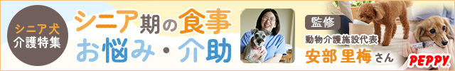 犬・猫の総合情報サイト『PEPPY（ペピイ）』