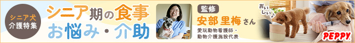 犬・猫の総合情報サイト『PEPPY（ペピイ）』