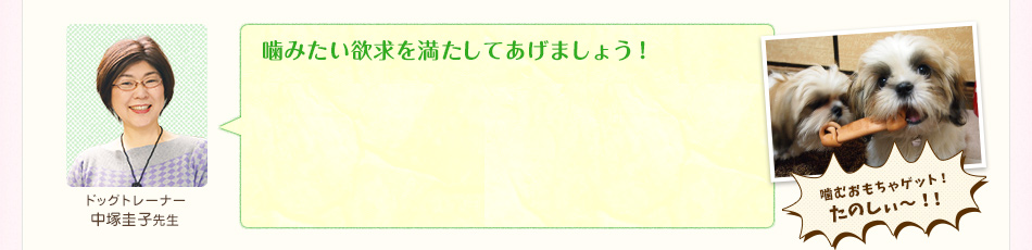 噛みたい欲求を満たしてあげましょう!