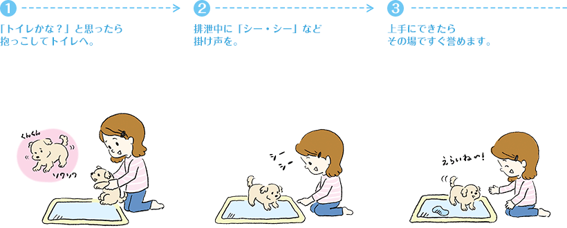 (1)「トイレかな?」と思ったら抱っこしてトイレへ。(2)排泄中に「シー・シー」など掛け声を。(3)上手にできたらその場ですぐ誉めます。