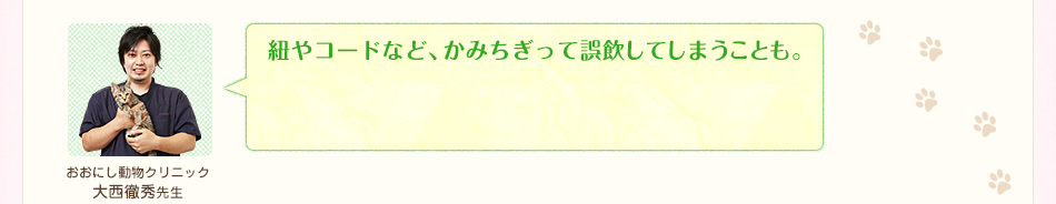 紐やコードなど、かみちぎって誤飲してしまうことも。