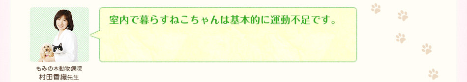 室内で暮らすねこちゃんは基本的に運動不足です。