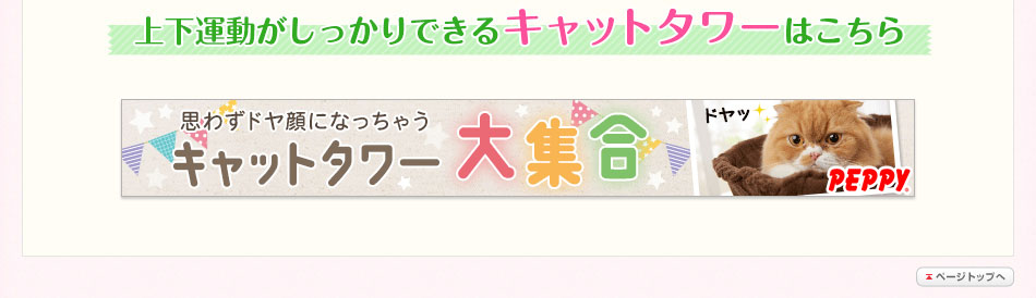 上下運動がしっかりできるキャットタワーはこちら