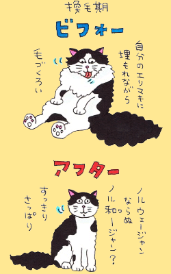 パウなヤツら