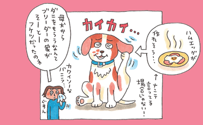 イラスト1