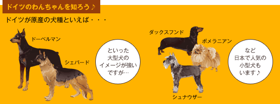 気になるドイツのペットたち ペット用品の通販サイト ペピイ Peppy