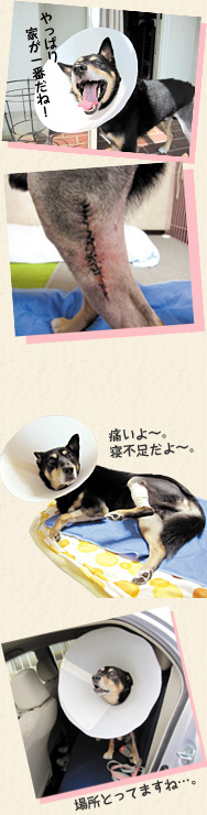 初手術&1泊の入院を経て