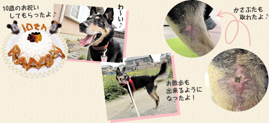 初手術&1泊の入院を経て