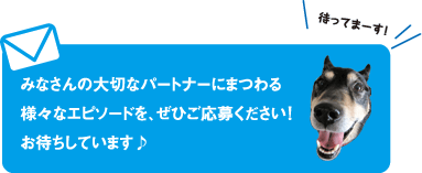 みなさんの大切なパートナーにまつわる様々なエピソードを、ぜひご応募ください!お待ちしています♪