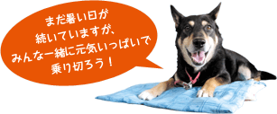 まだ暑い日が続いていますが、みんな一緒に元気いっぱいで乗り切ろう!