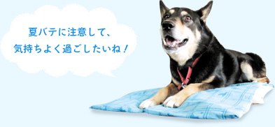 夏バテに注意して、気持ちよく過ごしたいね!