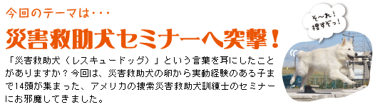 今回のテーマは・・・災害救助犬セミナーへ突撃!