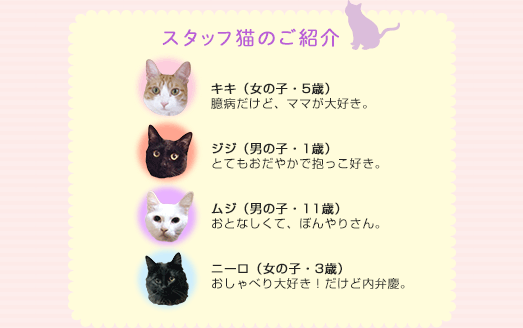 スタッフ猫のご紹介