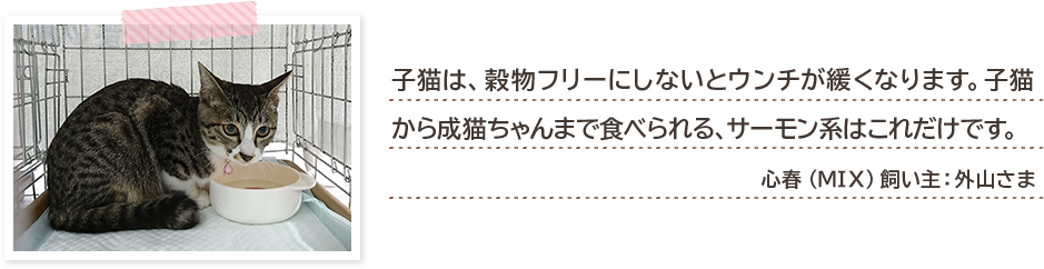 子猫は、穀物フリーにしないとウンチが緩くなります。子猫から成猫ちゃんまで食べられる、サーモン系はこれだけです。心春(MIX)飼い主:外山さま