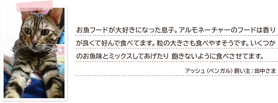 お魚フードが大好きになった息子。アルモネーチャーのフードは香りが良くて好んで食べてます。粒の大きさも食べやすそうです。いくつかのお魚味とミックスしてあげたり 飽きないように食べさせてます。 アッシュ(ベンガル)飼い主:田中さま