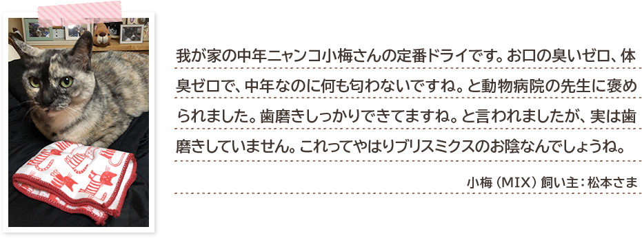我が家の中年ニャンコ小梅さんの定番ドライです。お口の臭いゼロ、体臭ゼロで、中年なのに何も匂わないですね。と動物病院の先生に褒められました。歯磨きしっかりできてますね。と言われましたが、実は歯磨きしていません。これってやはりブリスミクスのお陰なんでしょうね。 小梅(MIX)飼い主:松本さま