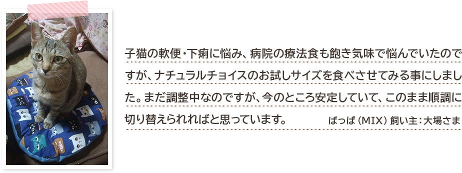 子猫の軟便・下痢に悩み、病院の療法食も飽き気味で悩んでいたのですが、ナチュラルチョイスのお試しサイズを食べさせてみる事にしました。まだ調整中なのですが、今のところ安定していて、このまま順調に切り替えられればと思っています。 ばっぱ(MIX)飼い主:大場さま