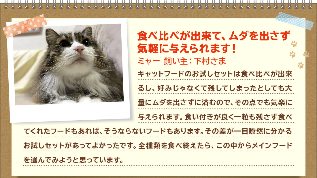 食べ比べが出来て、ムダを出さず気軽に与えられます!ミャー 飼い主:下村さま キャットフードのお試しセットは食べ比べが出来るし、好みじゃなくて残してしまったとしても大量にムダを出さずに済むので、その点でも気楽に与えられます。食い付きが良く一粒も残さず食べてくれたフードもあれば、そうならないフードもあります。その差が一目瞭然に分かるお試しセットがあってよかったです。全種類を食べ終えたら、この中からメインフードを選んでみようと思っています。