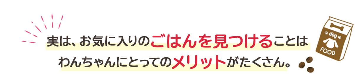 実は、お気に入りのごはんを見つけることはわんちゃんにとってのメリットがたくさん。