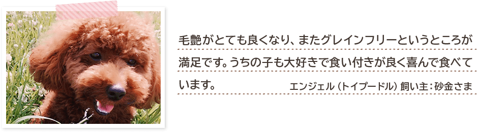 毛艶がとても良くなり、またグレインフリーというところが満足です。うちの子も大好きで食い付きが良く喜んで食べています。 エンジェル(トイプードル)飼い主:砂金さま