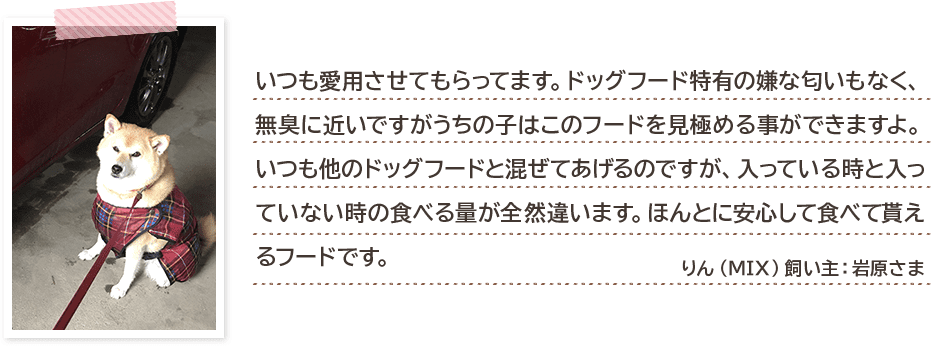 いつも愛用させてもらってます。ドッグフード特有の嫌な匂いもなく、無臭に近いですがうちの子はこのフードを見極める事ができますよ。いつも他のドッグフードと混ぜてあげるのですが、入っている時と入っていない時の食べる量が全然違います。ほんとに安心して食べて貰えるフードです。 りん(MIX)飼い主:岩原さま