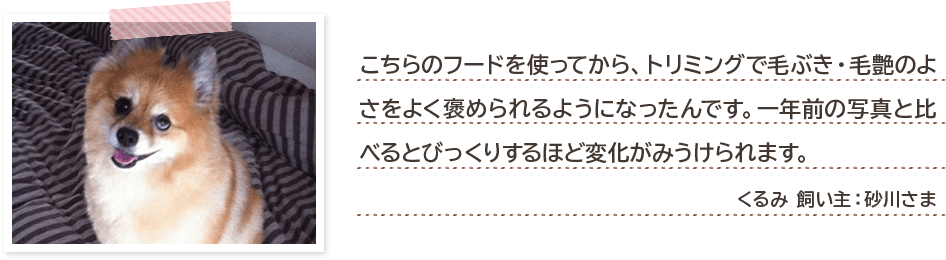 こちらのフードを使ってから、トリミングで毛ぶき・毛艶のよさをよく褒められるようになったんです。一年前の写真と比べるとびっくりするほど変化がみうけられます。 くるみ 飼い主:砂川さま