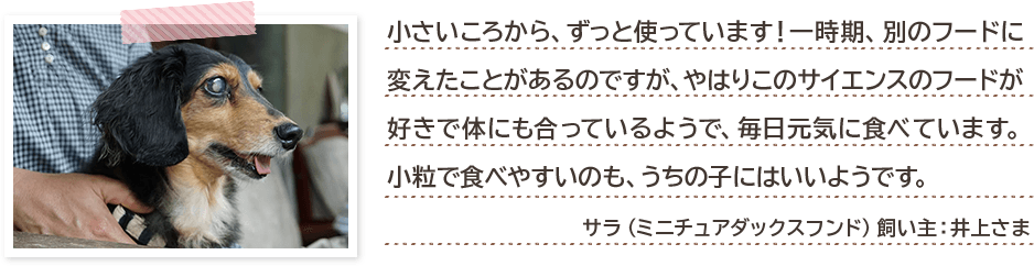 小さいころから、ずっと使っています!一時期、別のフードに変えたことがあるのですが、やはりこのサイエンスのフードが好きで体にも合っているようで、毎日元気に食べています。小粒で食べやすいのも、うちの子にはいいようです。 サラ(ミニチュアダックスフンド)飼い主:井上さま