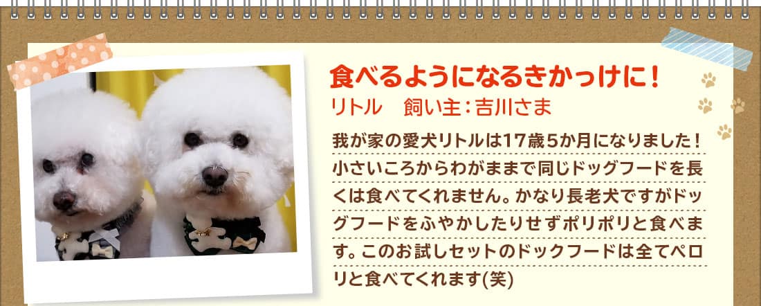 食べるようになるきかっけに!リトル 飼い主:吉川さま 我が家の愛犬リトルは17歳5か月になりました!小さいころからわがままで同じドッグフードを長くは食べてくれません。かなり長老犬ですがドッグフードをふやかしたりせずポリポリと食べます。このお試しセットのドックフードは全てペロリと食べてくれます(笑)