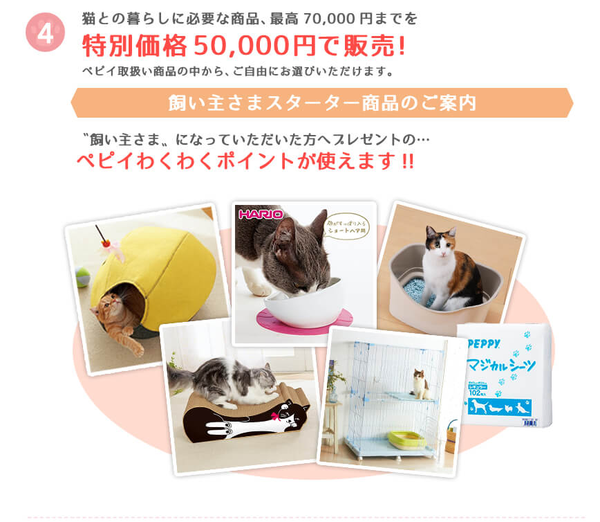 猫との暮らしに必要な商品、最高70,000円までを特別価格50,000円で販売!ペピイ取扱い商品の中から、ご自由にお選びいただけます。