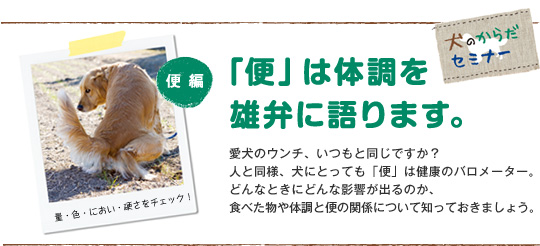 便 は体調を雄弁に語ります 犬のからだセミナー 便編 ペット用品の通販サイト ペピイ Peppy 便 は体調を雄弁に語ります 犬のからだセミナー 便編 ペット用品の通販サイト ペピイ Peppy