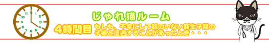 じゃれ猫ルーム4時間目