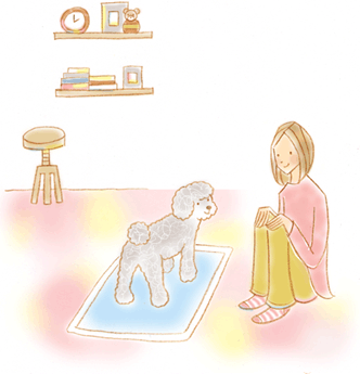 室内トイレのしつけ直し 老犬と暮らす ペット用品の通販サイト ペピイ peppy