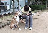 足が弱ってきた犬の歩かせ方