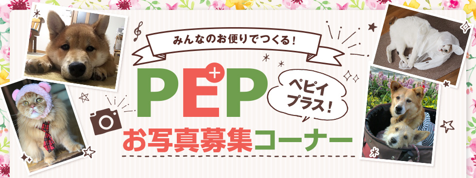 みんなのお便りでつくる!ペピイプラス お写真募集コーナー